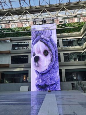 GCL 1000mm Özel Esnek Şeffaf LED Ekranı